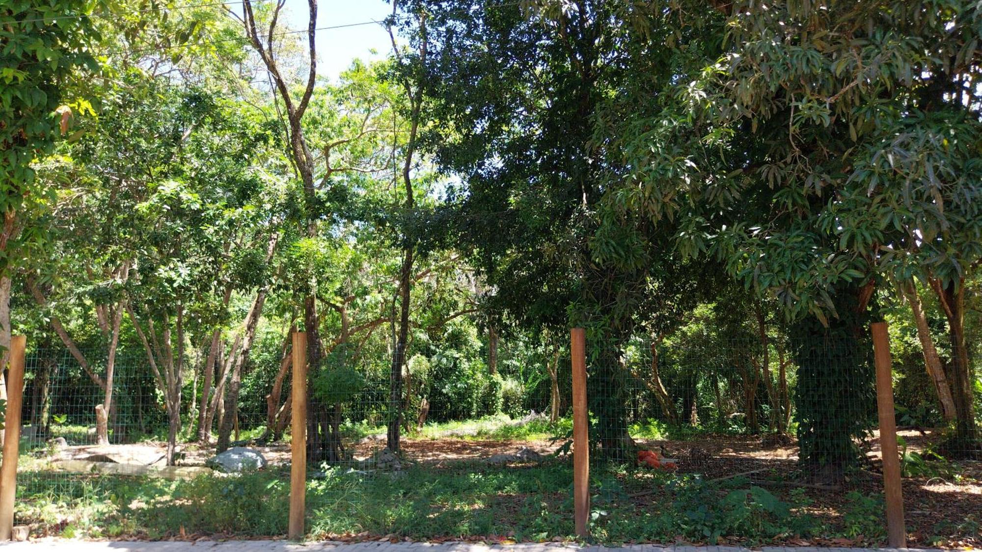 Pousada Maravilha Itacare Hotel Bagian luar foto
